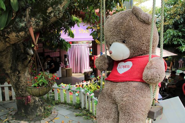 今夜星辰休閒農場：【彰化景點】今夜星辰休閒農場。超浪漫的LOVE愛心場景/童話般的婚紗外拍場景/草泥馬&駱馬&小動物餵食/情侶親子的輕旅行