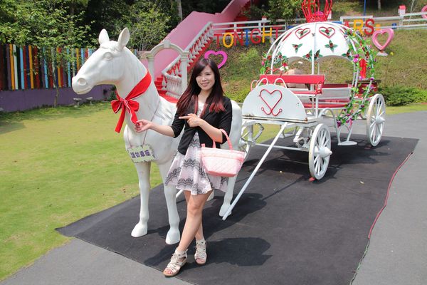 今夜星辰休閒農場：【彰化景點】今夜星辰休閒農場。超浪漫的LOVE愛心場景/童話般的婚紗外拍場景/草泥馬&駱馬&小動物餵食/情侶親子的輕旅行