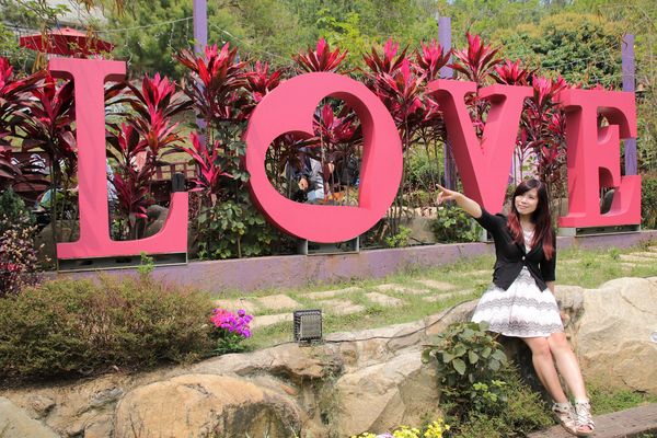 今夜星辰休閒農場：【彰化景點】今夜星辰休閒農場。超浪漫的LOVE愛心場景/童話般的婚紗外拍場景/草泥馬&駱馬&小動物餵食/情侶親子的輕旅行