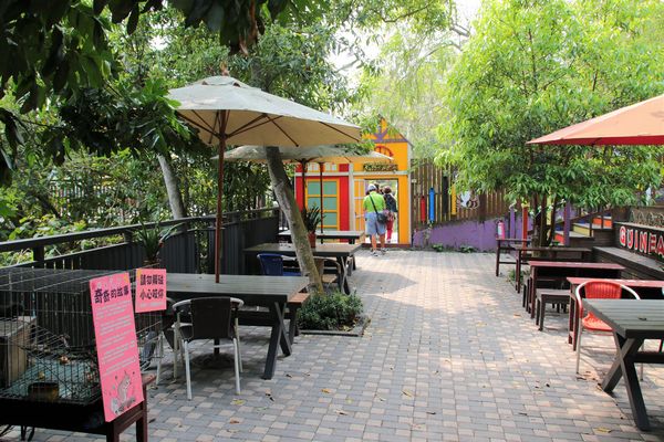 今夜星辰休閒農場：【彰化景點】今夜星辰休閒農場。超浪漫的LOVE愛心場景/童話般的婚紗外拍場景/草泥馬&駱馬&小動物餵食/情侶親子的輕旅行