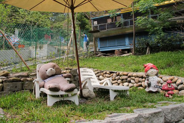 今夜星辰休閒農場：【彰化景點】今夜星辰休閒農場。超浪漫的LOVE愛心場景/童話般的婚紗外拍場景/草泥馬&駱馬&小動物餵食/情侶親子的輕旅行