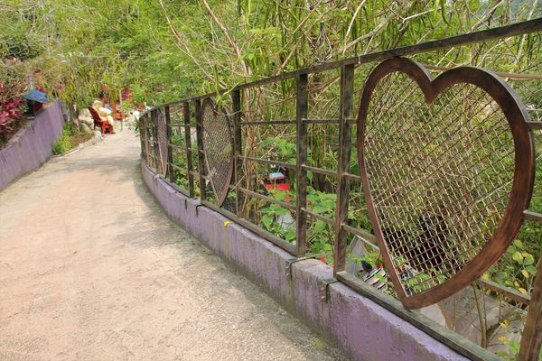 今夜星辰休閒農場：【彰化景點】今夜星辰休閒農場。超浪漫的LOVE愛心場景/童話般的婚紗外拍場景/草泥馬&駱馬&小動物餵食/情侶親子的輕旅行