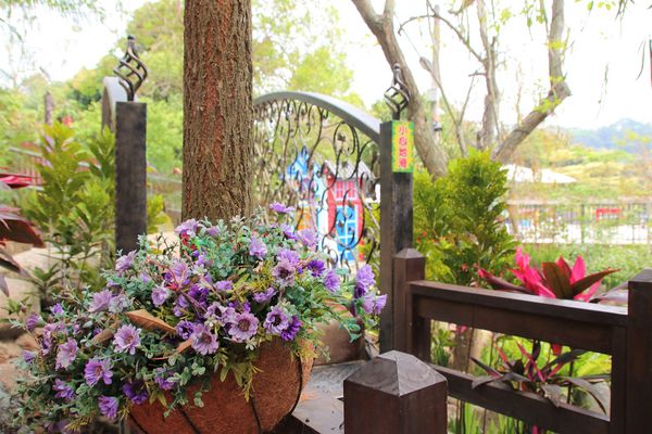 今夜星辰休閒農場：【彰化景點】今夜星辰休閒農場。超浪漫的LOVE愛心場景/童話般的婚紗外拍場景/草泥馬&駱馬&小動物餵食/情侶親子的輕旅行