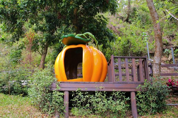 今夜星辰休閒農場：【彰化景點】今夜星辰休閒農場。超浪漫的LOVE愛心場景/童話般的婚紗外拍場景/草泥馬&駱馬&小動物餵食/情侶親子的輕旅行