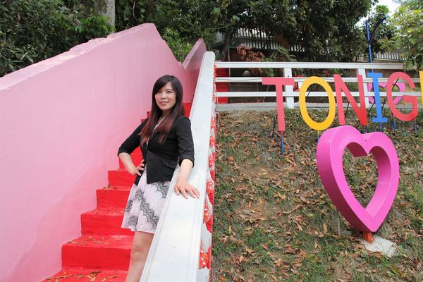 今夜星辰休閒農場：【彰化景點】今夜星辰休閒農場。超浪漫的LOVE愛心場景/童話般的婚紗外拍場景/草泥馬&駱馬&小動物餵食/情侶親子的輕旅行