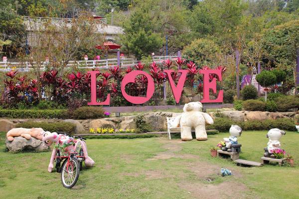 今夜星辰休閒農場：【彰化景點】今夜星辰休閒農場。超浪漫的LOVE愛心場景/童話般的婚紗外拍場景/草泥馬&駱馬&小動物餵食/情侶親子的輕旅行