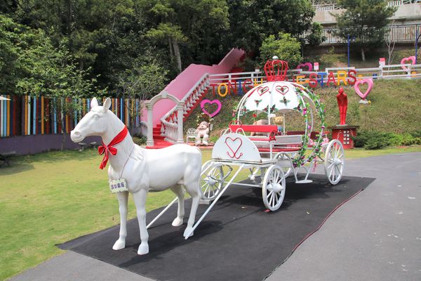 今夜星辰休閒農場：【彰化景點】今夜星辰休閒農場。超浪漫的LOVE愛心場景/童話般的婚紗外拍場景/草泥馬&駱馬&小動物餵食/情侶親子的輕旅行