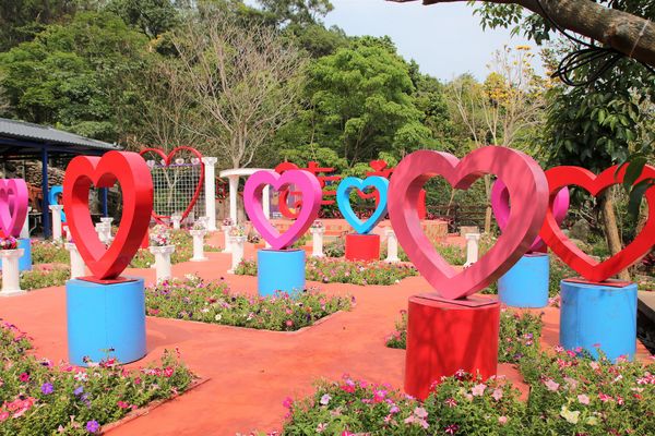 今夜星辰休閒農場：【彰化景點】今夜星辰休閒農場。超浪漫的LOVE愛心場景/童話般的婚紗外拍場景/草泥馬&駱馬&小動物餵食/情侶親子的輕旅行