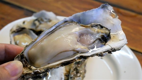 【台南市-東區】平價炭烤、好吃快炒、美味熱湯~『府城騷烤家』就是要讓你大呼過癮的即滿足荷包也滿足肚皮~σ(ˋ▽ˊ)σ~