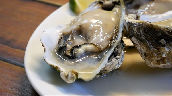 【台南市-東區】平價炭烤、好吃快炒、美味熱湯~『府城騷烤家』就是要讓你大呼過癮的即滿足荷包也滿足肚皮~σ(ˋ▽ˊ)σ~