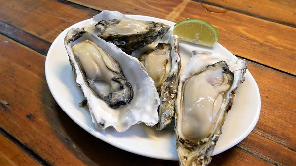 【台南市-東區】平價炭烤、好吃快炒、美味熱湯~『府城騷烤家』就是要讓你大呼過癮的即滿足荷包也滿足肚皮~σ(ˋ▽ˊ)σ~