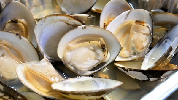 【台南市-東區】平價炭烤、好吃快炒、美味熱湯~『府城騷烤家』就是要讓你大呼過癮的即滿足荷包也滿足肚皮~σ(ˋ▽ˊ)σ~