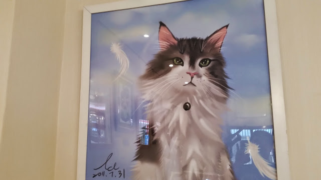 【新竹】晴空貓窩．希望永遠放晴的咖啡館