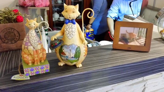 【新竹】晴空貓窩．希望永遠放晴的咖啡館