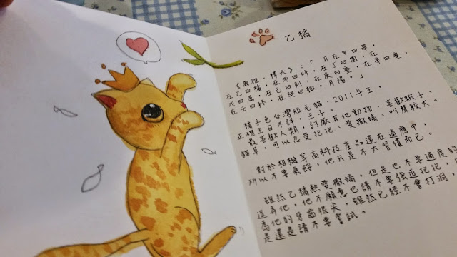 【新竹】晴空貓窩．希望永遠放晴的咖啡館