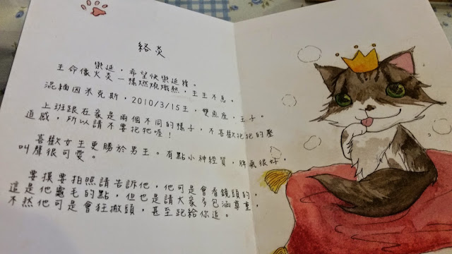 【新竹】晴空貓窩．希望永遠放晴的咖啡館