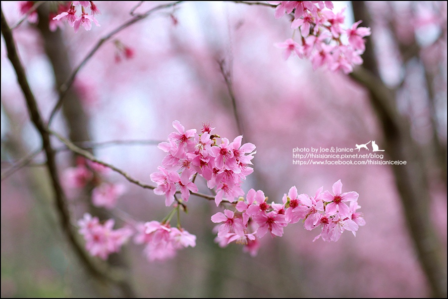 130A0673.JPG 130A0673.JPG