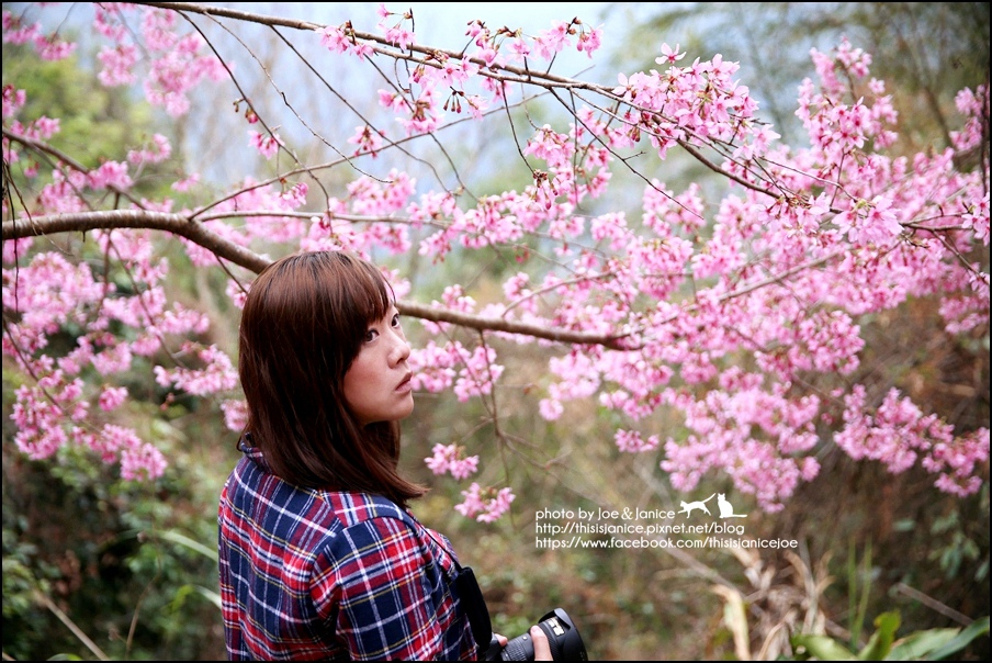 130A0788.JPG 130A0788.JPG