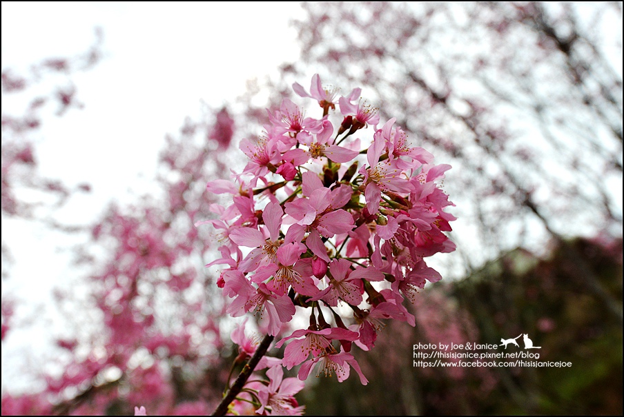 DSC_0451.JPG DSC_0451.JPG