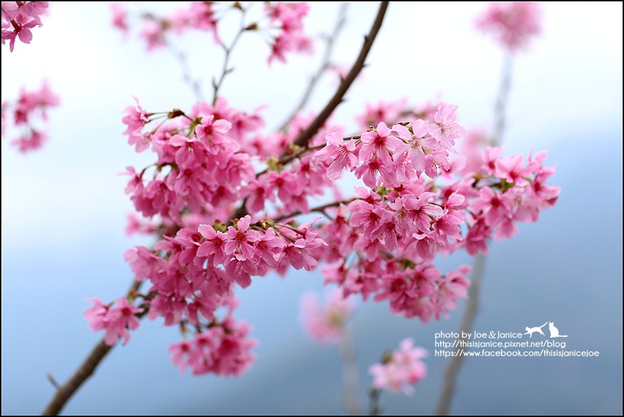 130A0700.JPG 130A0700.JPG