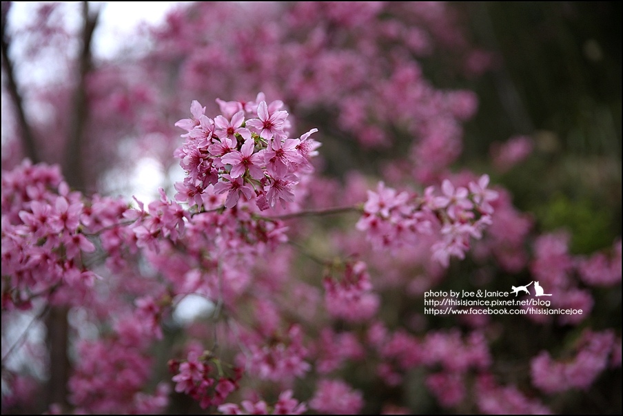 130A0751.JPG 130A0751.JPG