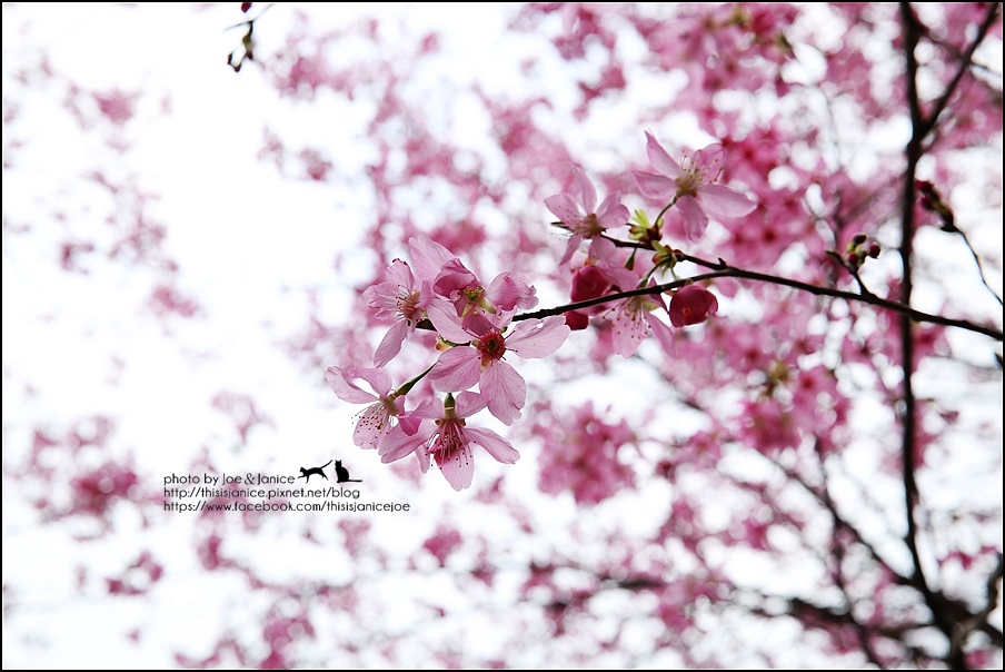 130A0769.JPG 130A0769.JPG