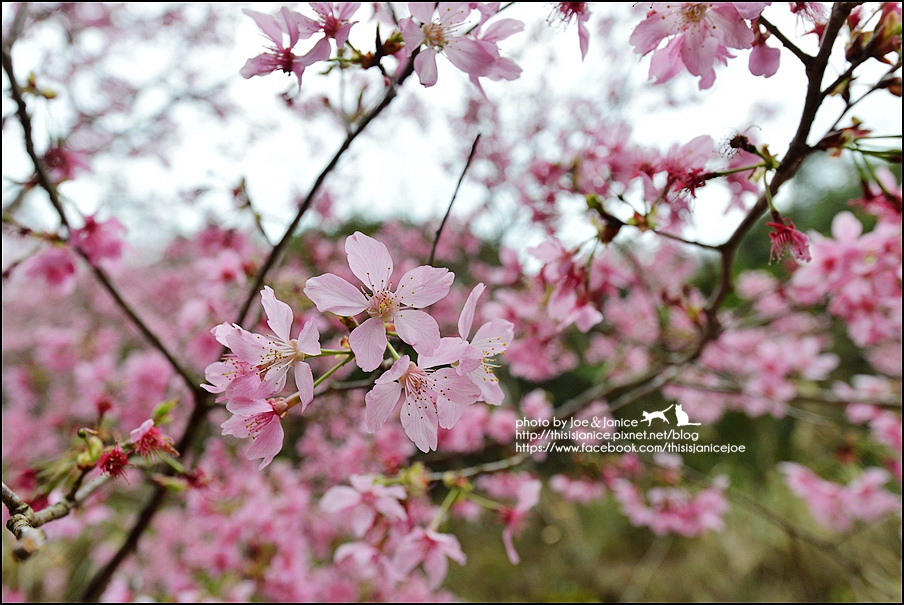 DSC_0487.JPG DSC_0487.JPG