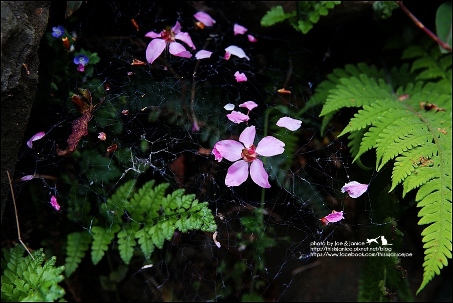 130A0845.JPG 130A0845.JPG