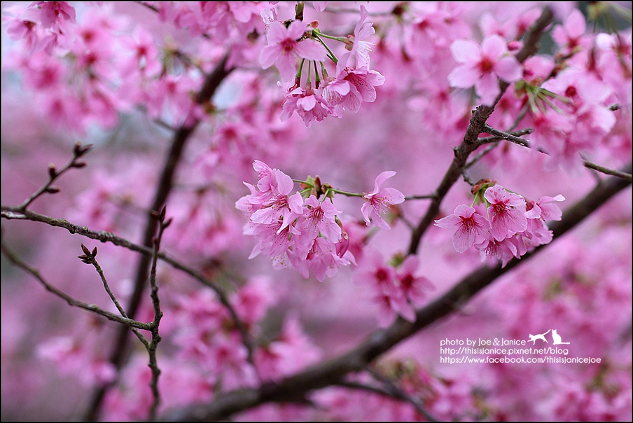 130A0714.JPG 130A0714.JPG