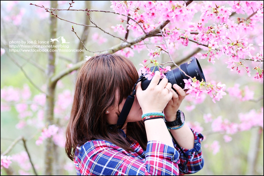 130A0715.JPG 130A0715.JPG