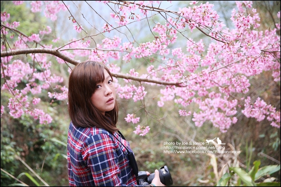 130A0794.JPG 130A0794.JPG