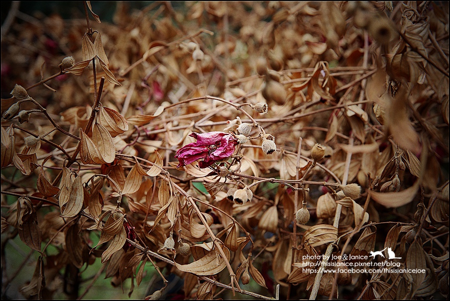 130A0857.JPG 130A0857.JPG