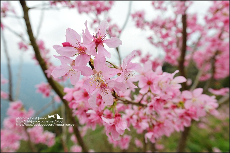 DSC_0459.JPG DSC_0459.JPG