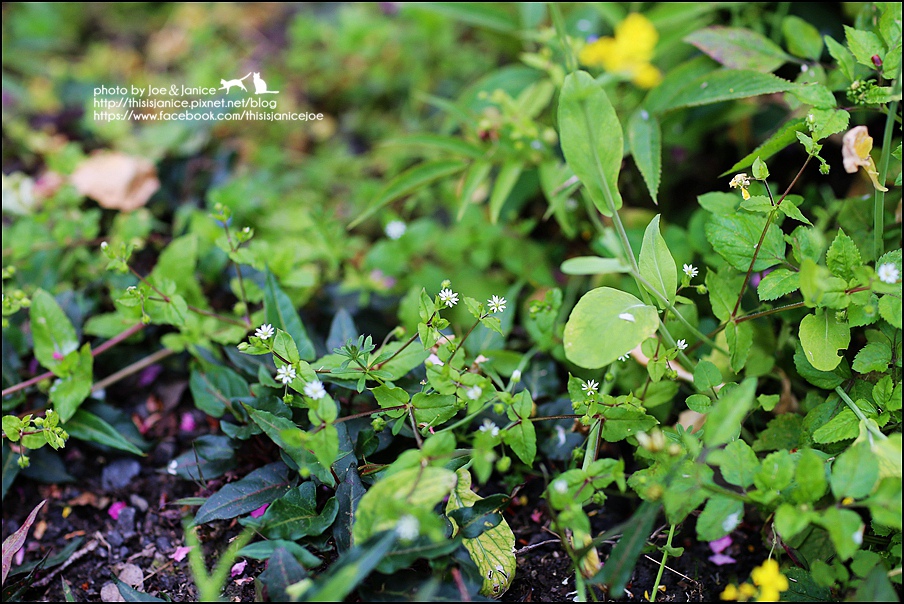 130A0736.JPG 130A0736.JPG