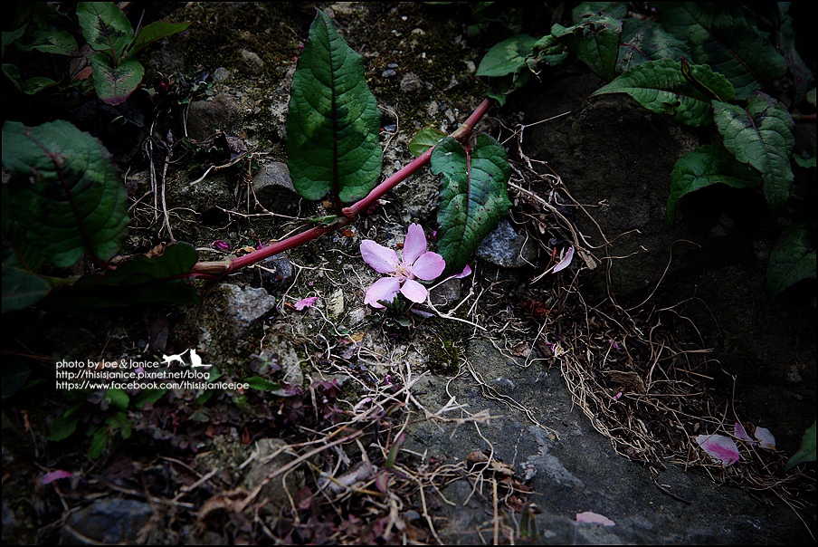 130A0833.JPG 130A0833.JPG