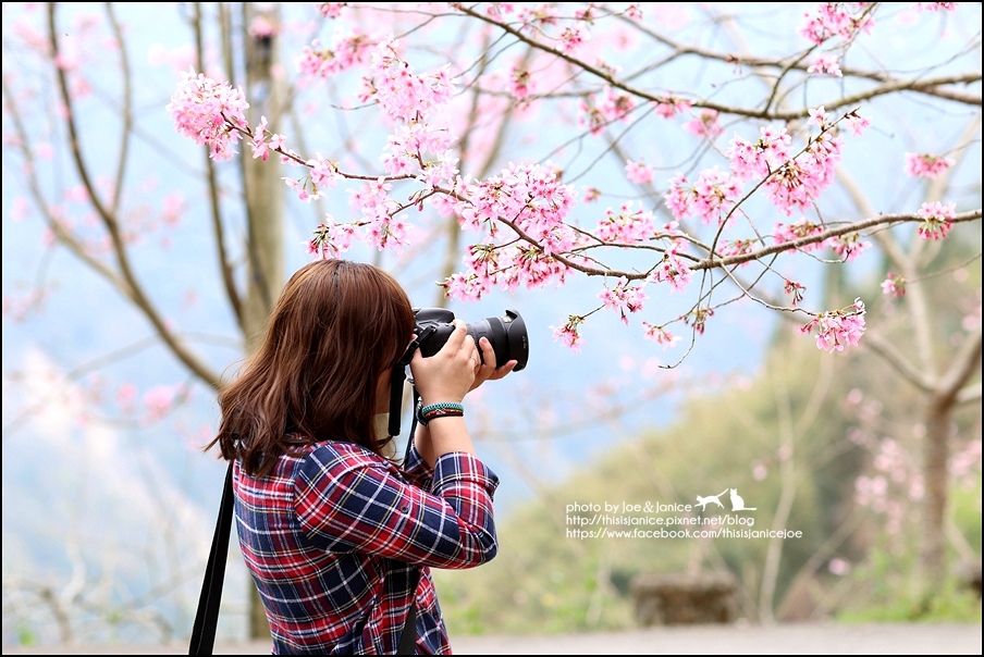 130A0689.JPG 130A0689.JPG