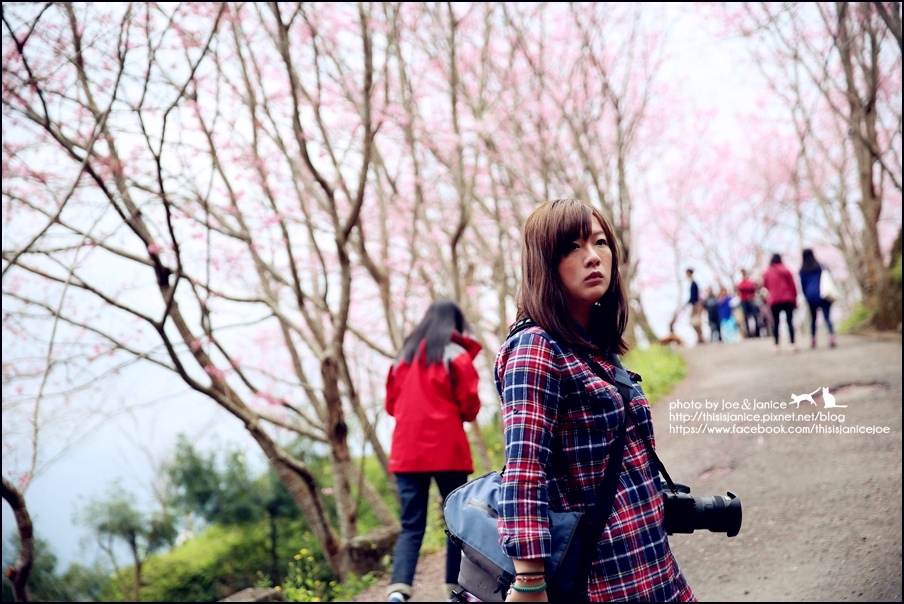 130A0800_副本.jpg 130A0800_副本.jpg