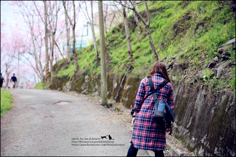 130A0798.JPG 130A0798.JPG