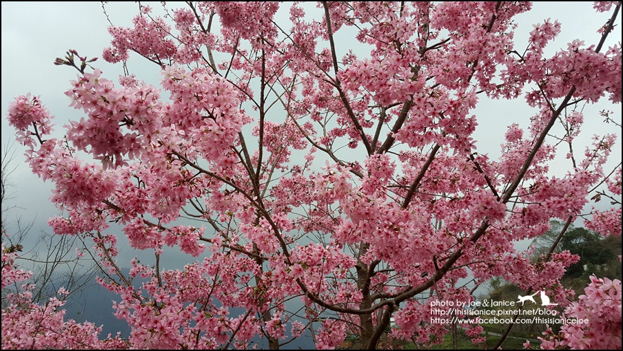 20160307_144251.jpg 20160307_144251.jpg