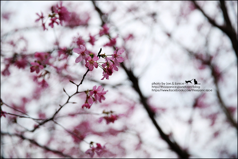 130A0753.JPG 130A0753.JPG