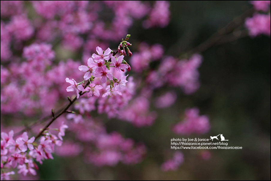 130A0750.JPG 130A0750.JPG