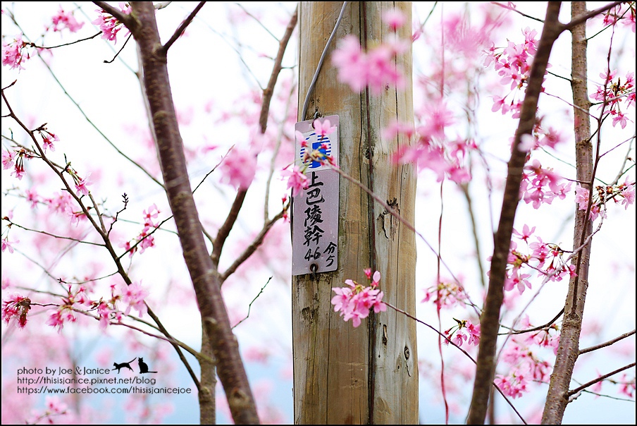 130A0675.JPG 130A0675.JPG