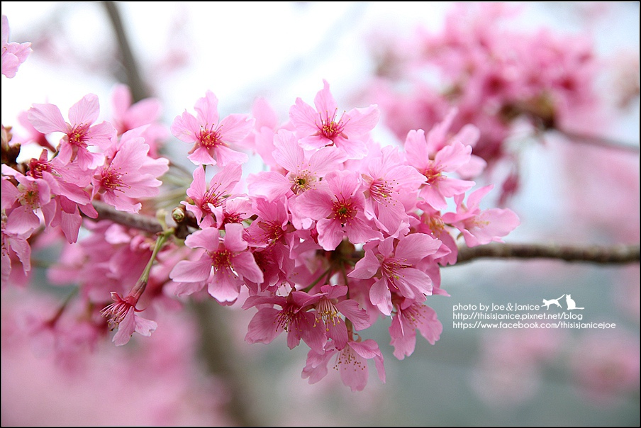 130A0662.JPG 130A0662.JPG