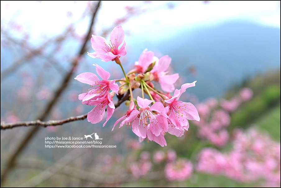 DSC_0448.JPG DSC_0448.JPG