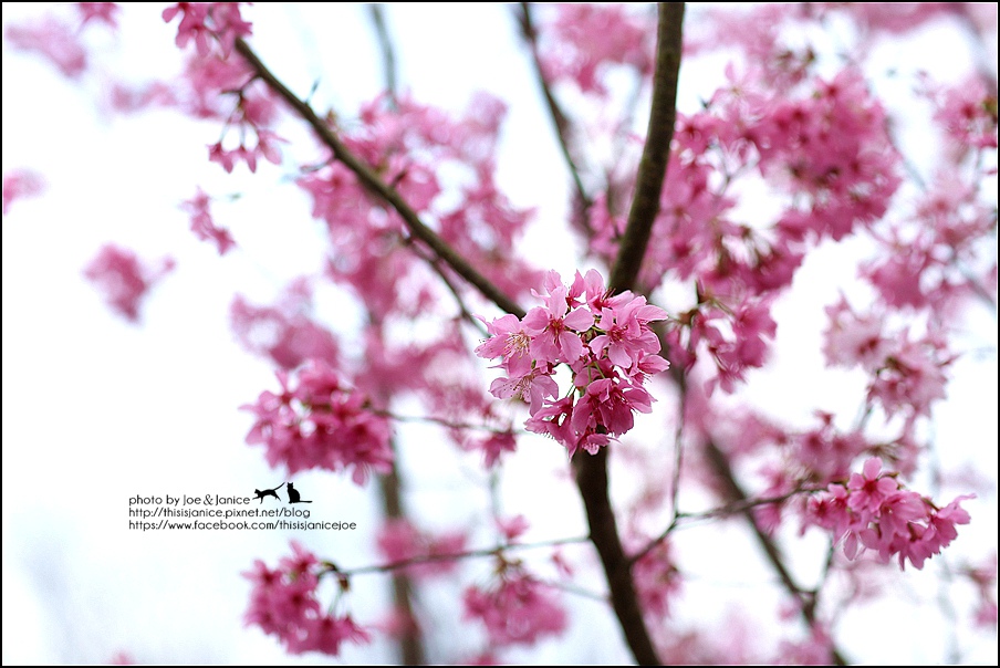 130A0711.JPG 130A0711.JPG