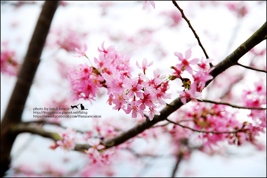 130A0667.JPG 130A0667.JPG