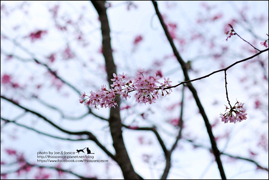 130A0738.JPG 130A0738.JPG