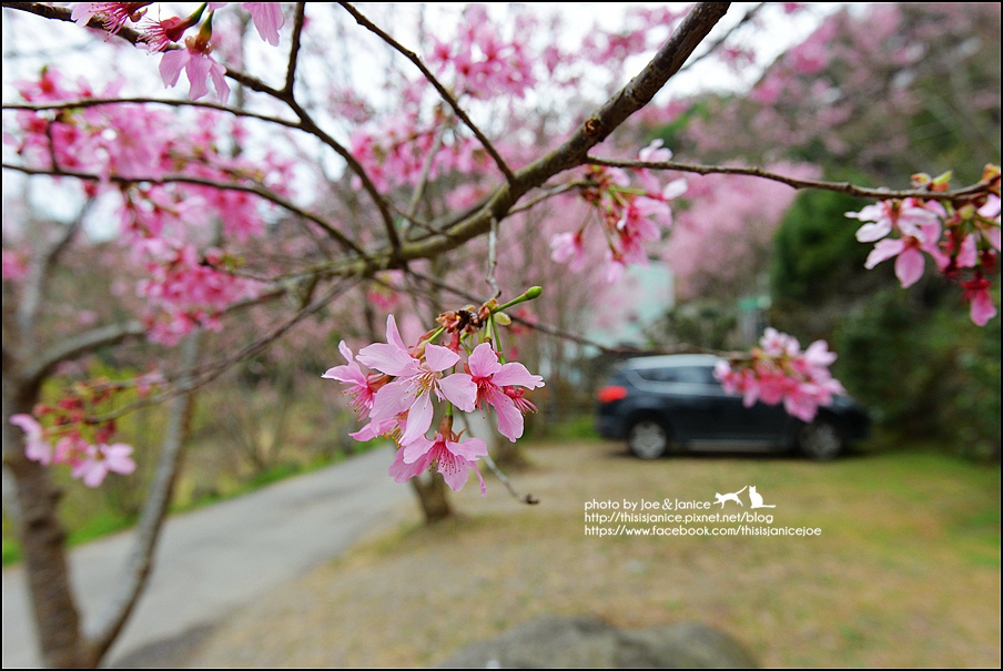 DSC_0453.JPG DSC_0453.JPG