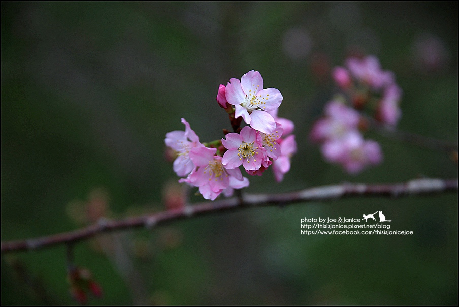 130A0867.JPG 130A0867.JPG