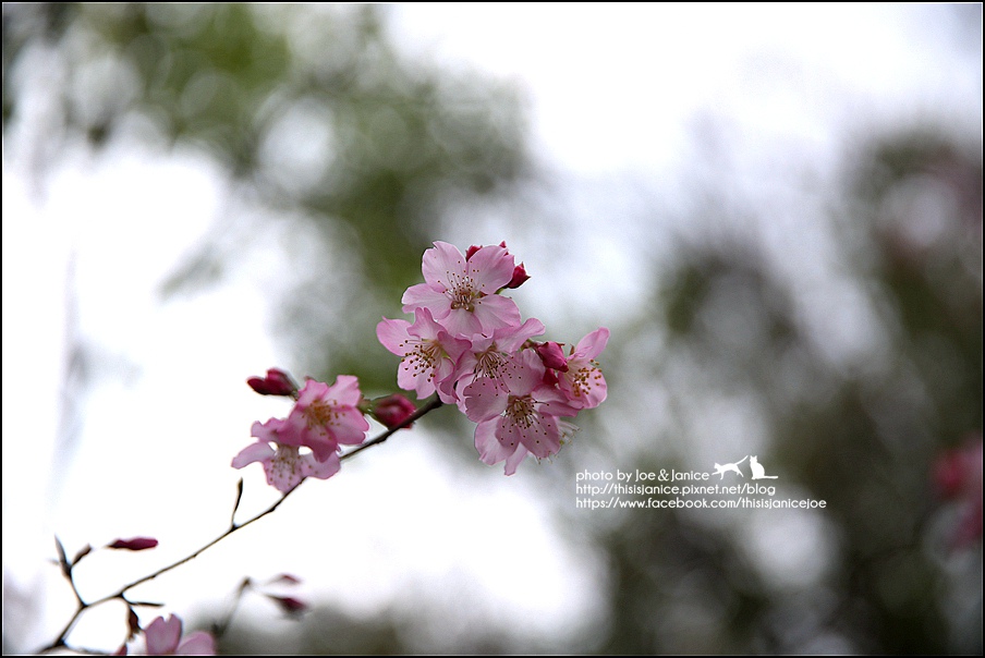 130A0876.JPG 130A0876.JPG